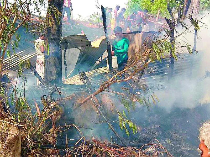 Two animals die in fire in Salora | सालोरा येथील आगीत दोन जनावरांचा होरपळून मृत्यू