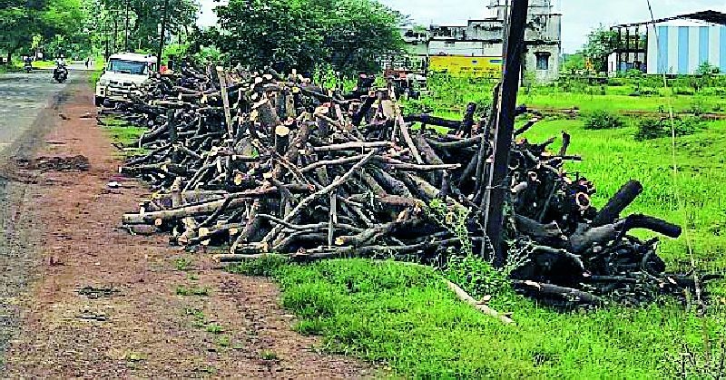 There will be a slaughter of 397 trees | ३९७ वृक्षांची होणार कत्तल