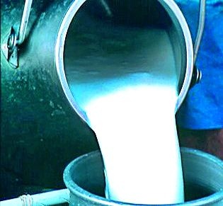 Milk is cheaper than water | पाण्यापेक्षाही दूध झाले स्वस्त