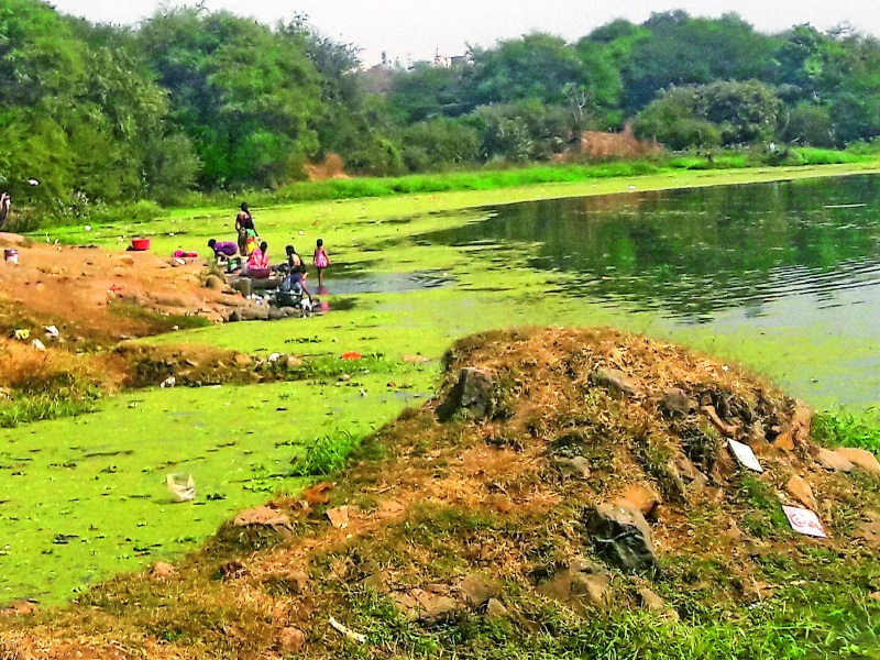 Indrayani river polluted; The destruction of the aquatic vertebrate, the health of the citizens threatened | इंद्रायणीची झालीय गटारगंगा; जलचर होताहेत नष्ट, नागरिकांचे आरोग्य धोक्यात