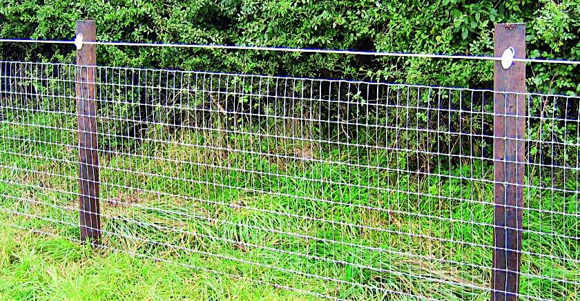 Iron netting fencing on the outskirts of the forest | वनाच्या हद्दीवर लागणार लोखंडी जाळीचे कुंपण