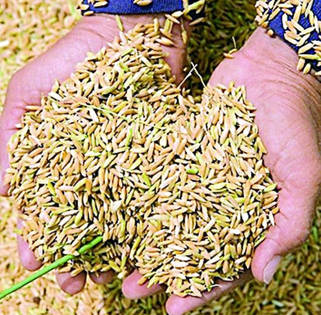 68 thousand quintals of seed will be required for Kharif | खरिपासाठी लागणार ६८ हजार क्विंटल बियाणे