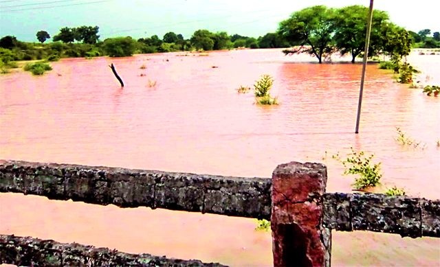 Crop damage due to the floods that flooded the Wardha river | वर्धा नदीला आलेल्या पुरामुळे पिकांचे नुकसान