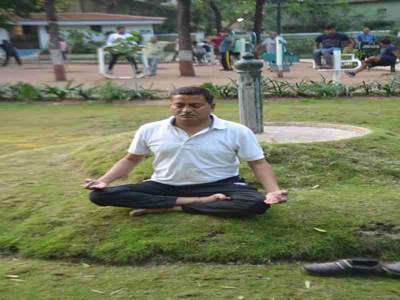  Focus on 'Yoga' for a healthy, vibrant life | निरोगी, उत्साहपूर्वक आयुष्यासाठी ‘योगा’वर भर