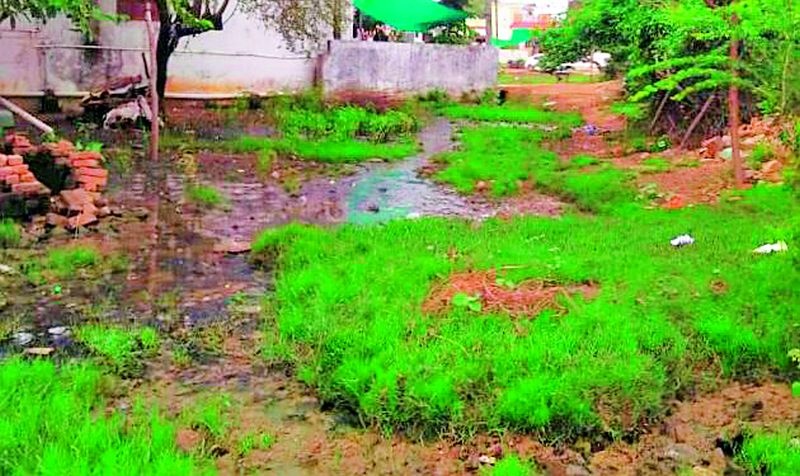 Sewage on the plot due to partial drainage | अर्धवट नालीमुळे भूखंडावर सांडपाणी