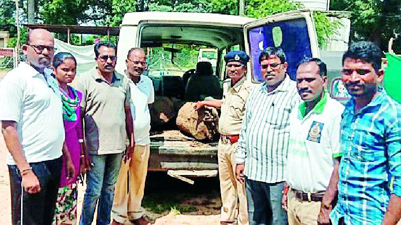 Wood smugglers seize two vehicles | लाकूड तस्करी करणारी दोन वाहने जप्त