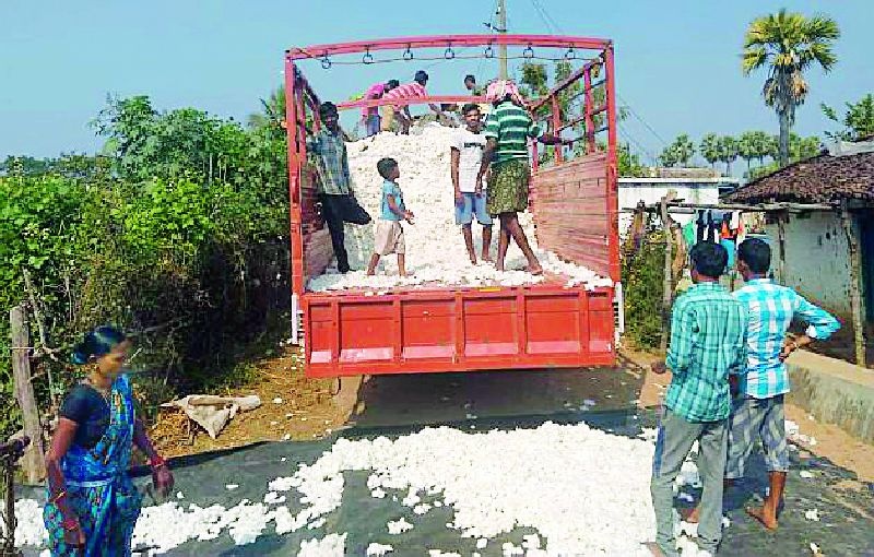 Robbery of farmers by merchants in buying cotton | कापूस खरेदीत शेतकऱ्यांची व्यापाऱ्यांकडून लूट