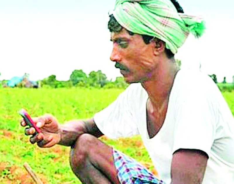 Farmers in search of a network | नेटवर्कच्या शोधात शेतकरी धुऱ्यावर