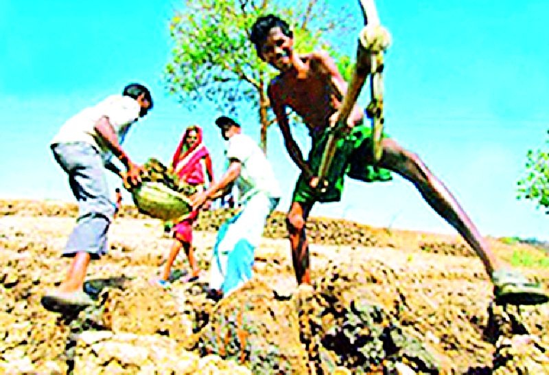 Closing work in 241 Gram Panchayats of Employment Generation | रोजगारहमीचे २४१ ग्रामपंचायतींमधील काम बंद