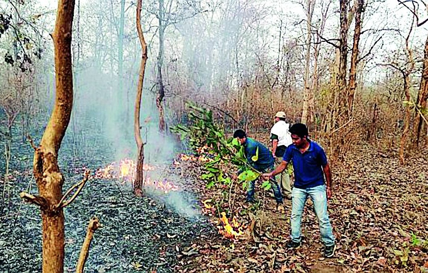 Thousands of hectares affected due to fire | आगीमुळे हजारो हेक्टर क्षेत्र प्रभावित