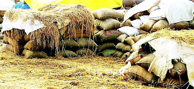 Aab ... 27 thousand quintals of rice will disappear | अबब...२७ हजार क्विंटल धान झाले गायब