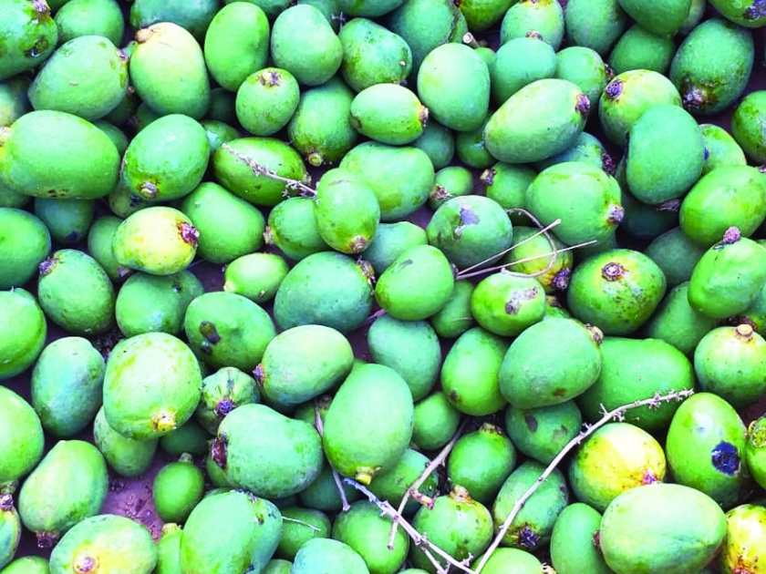 Lack of millions burnt cashew, mango kalbauga at Chinder | चिंदर येथे काजू ,आंबा कलमबागा जळून लाखोंची हानी
