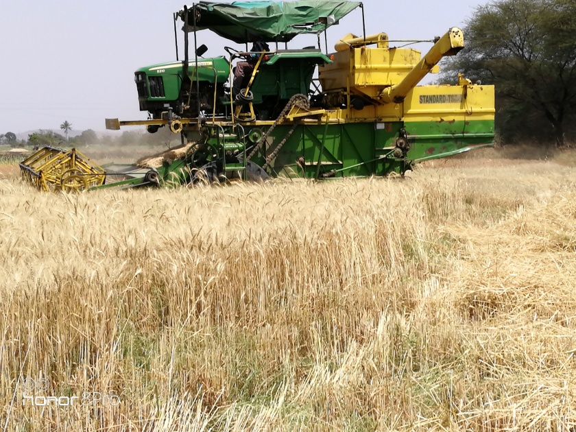 Harvesters prefer wheat harvesters | गहू काढणीस हार्वेस्टरलाच पसंती