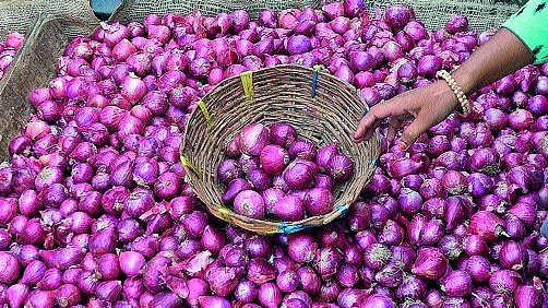 Onion prices continue to fall | कांदा दरात घसरण सुरुच