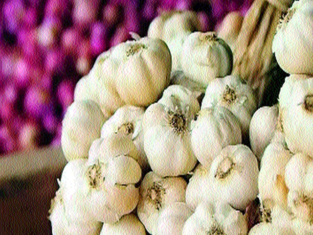 Shambhari reached onion prices; Only garlic is fast! | शंभरी गाठलेल्या कांद्याचे दर घसरले; लसूण मात्र तेजीतच!