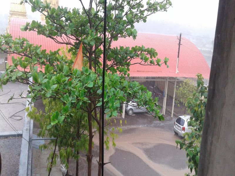 Strong arrival of rain in the Dongargaon area, with mesmerizing rain | मेशीसह,डोंगरगाव परिसरात पावसाचे दमदार आगमन