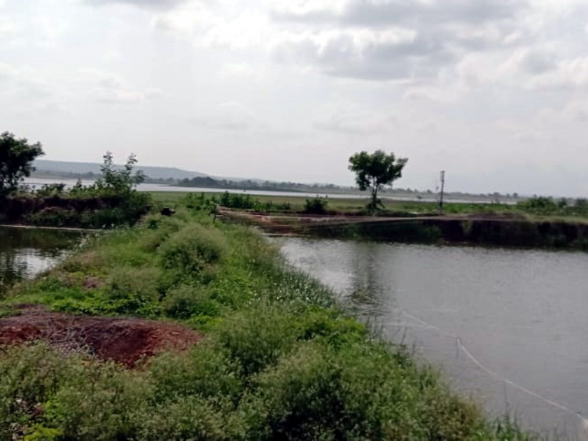 Parbhani: Contaminated water contaminated with non-vegetarian food | परभणी : मांसाहारी खाद्यपदार्थाने तलावातील पाणी दूषित