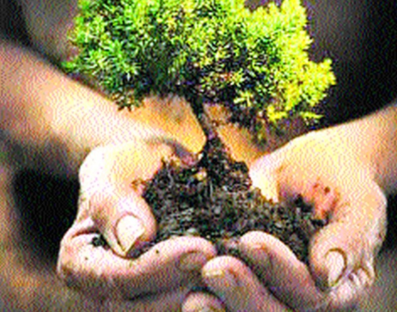 Tree Plantation in Trimbakeshwar Ashram | त्र्यंबकेश्वर आश्रमात वृक्षारोपण महायज्ञ