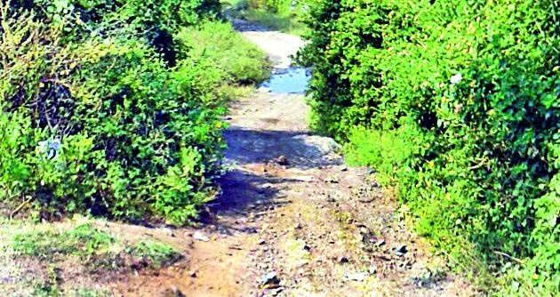 Road to Shrirampur residents due to lack of roads | रस्त्याअभावी श्रीरामपूरवासीयांचे हाल