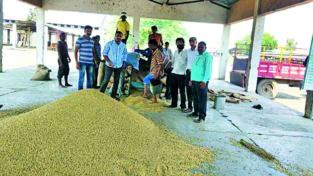 The purchase of the grain rejected by the software in Amravati Market Committee | अमरावती बाजार समितीतील सॉफ्टवेअरने नाकारली शेतमालाची खरेदी