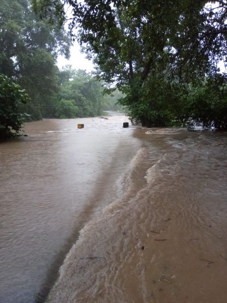 Heavy rains in Gadchiroli district; Hundreds of villages lost contact | गडचिरोली जिल्ह्यात मुसळधार पाऊस; शेकडो गावांचा संपर्क तुटला