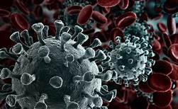 corona virus: 27 corona infected in Sawantwadi taluka | corona virus : सावंतवाडी तालुक्यात २७ जण कोरोना बाधित
