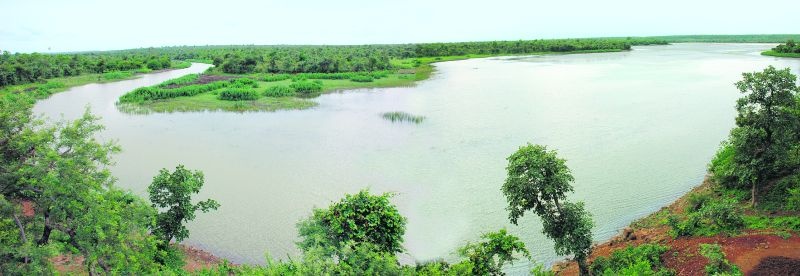 In July, the dam was empty in the Nagpur division | जुलैअखेरही नागपूर विभागातील धरणे कोरडीच