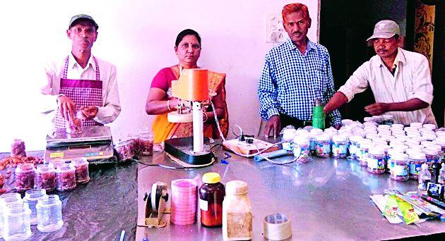 Aamla business | पडीत शेतीतून आवळा व्यवसायाची किमया