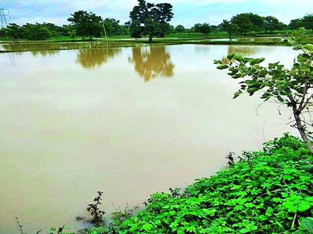 Incomplete works of canal irrigated agriculture | कालव्याच्या अपूर्ण कामाने शेती जलमय