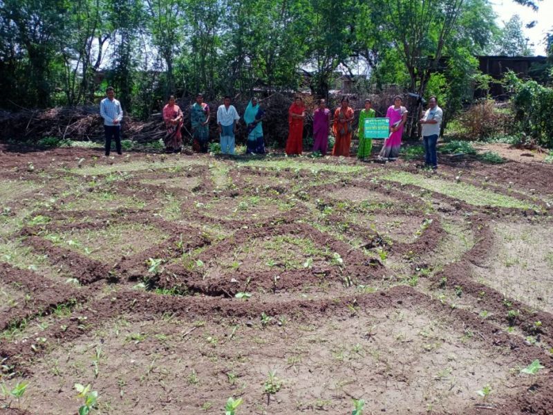 Experiment of non-toxic agriculture taking root in Buldana district! | बुलडाणा जिल्ह्यात रुजतोय विषमुक्त शेतीचा प्रयोग!