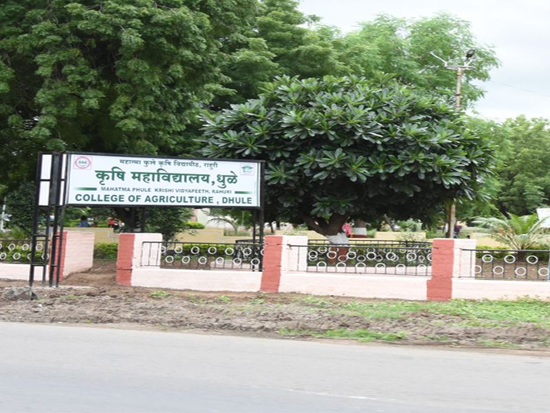 The question of the scheduled Agricultural University in Dhule | धुळ्यातील नियोजित कृषी विद्यापीठाचा प्रश्न पुन्हा ऐरणीवर