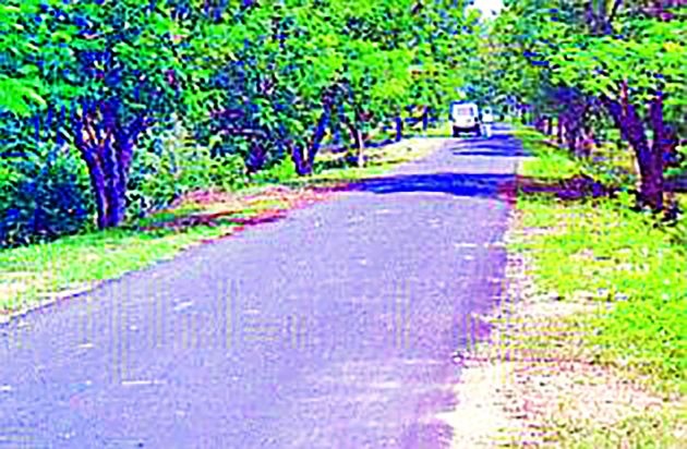 184 km road works approved | १८४ किमी रस्त्यांची कामे मंजूर