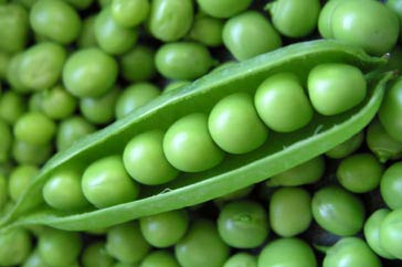 Green Vatana, Gajra's arrivals grew | हिरवा वटाणा, गाजराची आवक वाढली