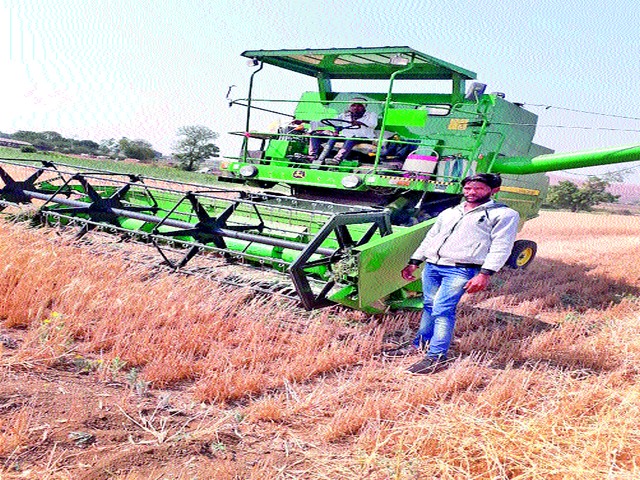 Wheat production drops in coming | येवल्यात गहू उत्पादनात घट