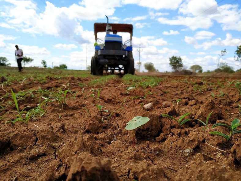 Cultivated plow on ten acres of cotton .. | दहा एकरांवरील कपाशीवर फिरविला नांगर..