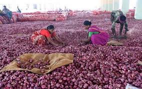Falling onion prices have led to a decline in sales | कांदा दरात पावसामुळे घसरण उत्पादकांना विक्र ीची झाली घाई