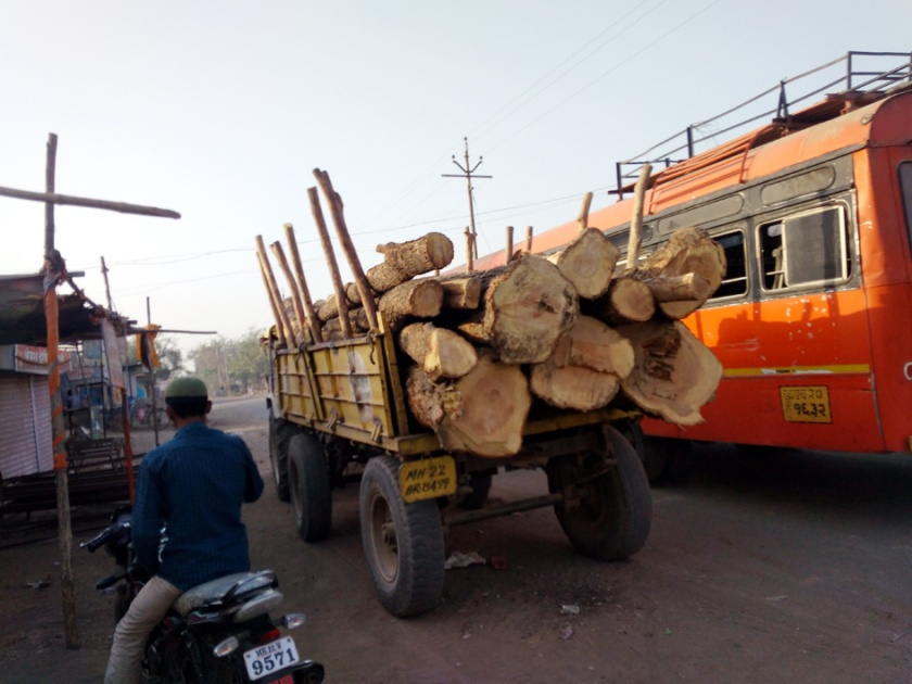 Parbhani: Precious slaughter of trees in Palam taluka | परभणी : पालम तालुक्यात वृक्षांची बेसुमार कत्तल