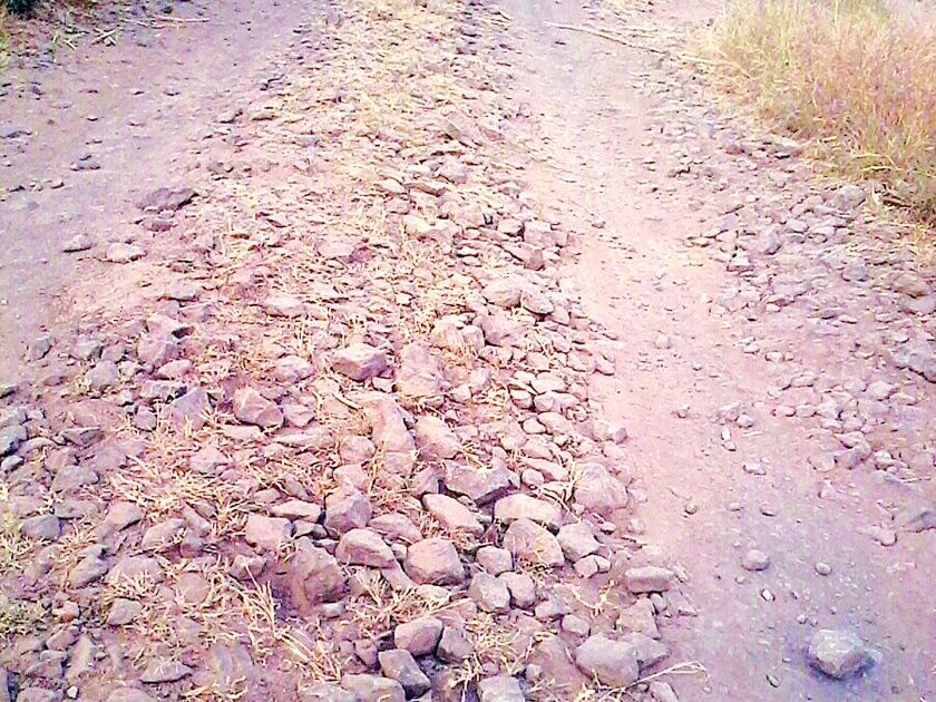 Satara: Not a problem ... This is the road to the field, the relics of Ranjani Pati-Palshi road | सातारा :हमरस्ता नव्हे ... ही तर शेतातली पायवाट, रांजणी पाटी-पळशी रस्त्याची दुरवस्था