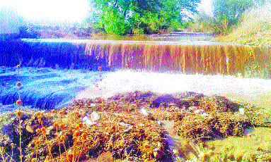Applying water to the Tembau near Khanapur | खानापूरजवळ टेंभूचे पाणी दाखल