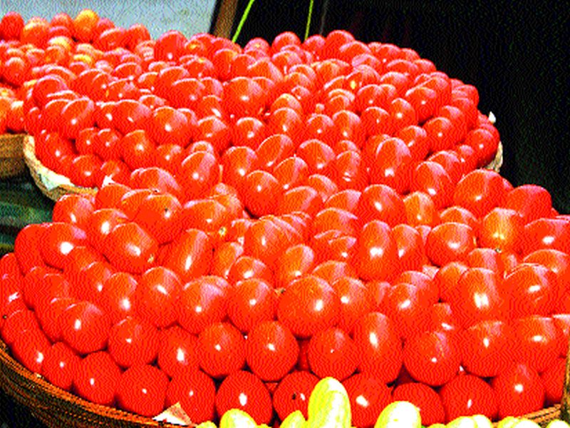 Tomato in the Nashik Market Committee | नाशिक बाजार समितीत टमाटा २ रुपये किलो