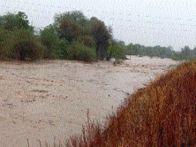 Sindhfane flood in Shirur Kasar taluka | शिरूर कासार तालुक्यात सिंदफणेला पूर