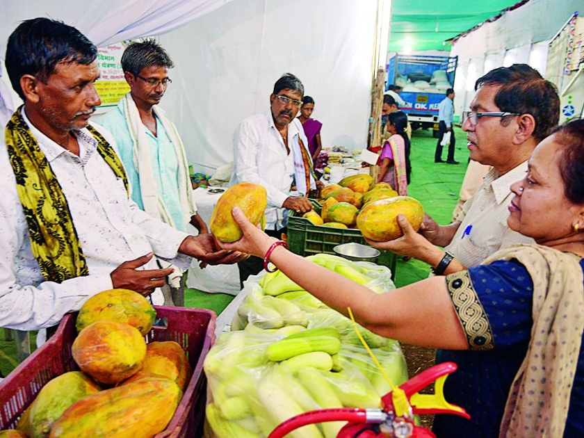 Jowar's Popcorn and 'Mongo Ginger'; Agricultural exhibition in Nagpur | ज्वारीचे पॉपकॉर्न अन् चविष्ट ‘मँगो जिंजर’ ; नागपुरात कृषी प्रदर्शन