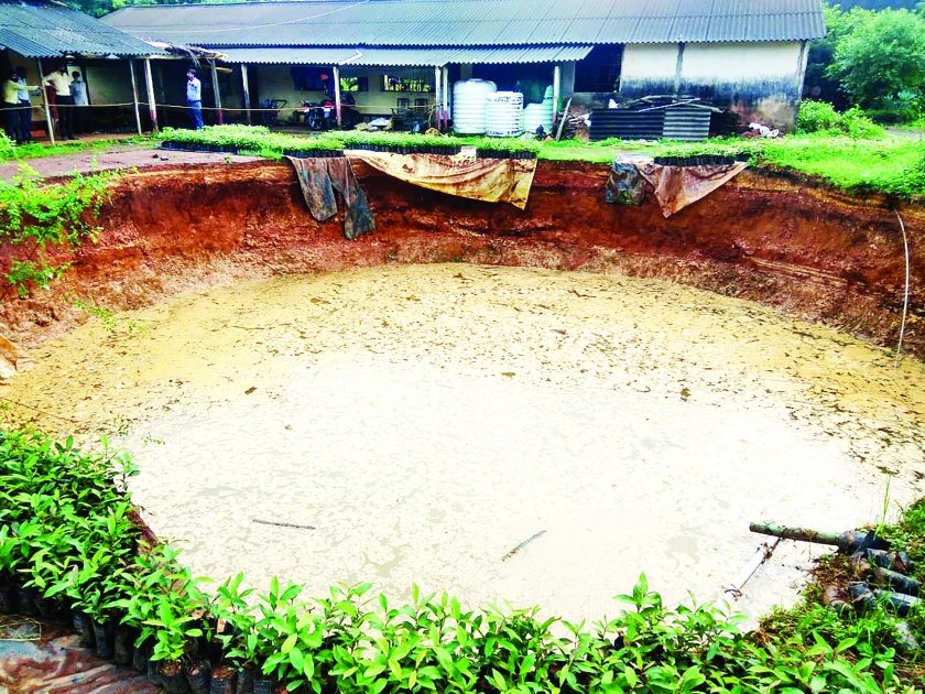 Millions lost due to well drilling at Vengurla Regional Fruit Research Center | वेंगुर्ला प्रादेशिक फळ संशोधन केंद्रातील विहीर खचून लाखोंची हानी