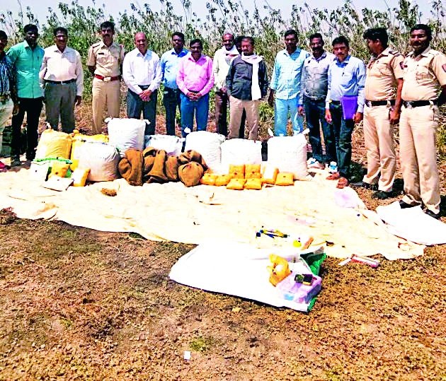 Seven lakhs of Ganja seized from Bembala river bank | बेंबळा नदीपात्रातून सव्वासहा लाखांचा गांजा जप्त