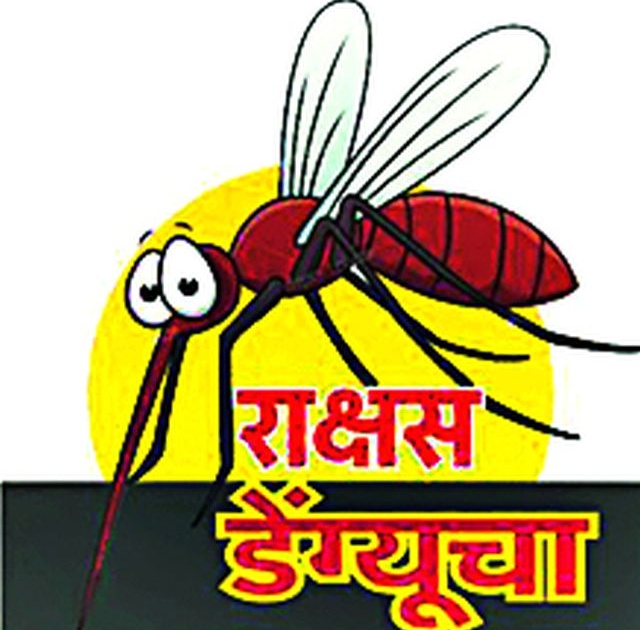 Review of dengue mortar in the absence of opponents | विरोधकांच्या गैरहजेरीत डेंग्यूचा बंदद्वार आढावा