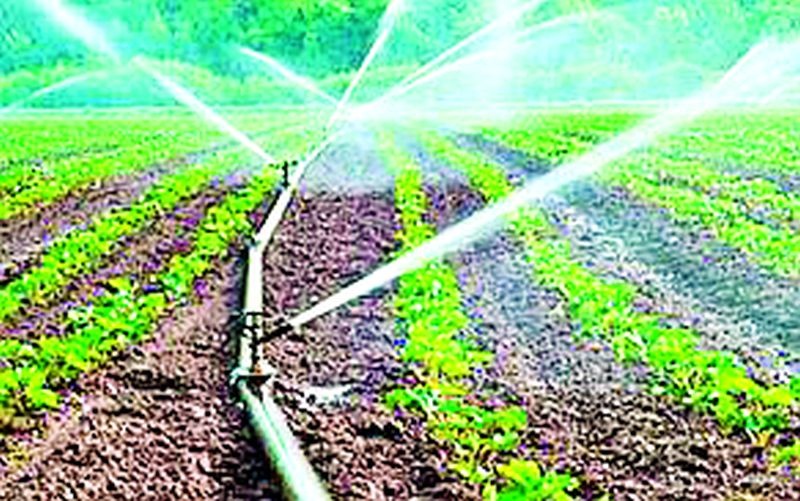 Drip irrigation to farmers now on 80 per cent subsidy | शेतकऱ्यांना ठिबक सिंचन आता ८० टक्के अनुदानावर