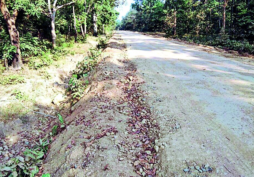 Road construction works in forest area | वनविभागाच्या जागेत रस्ता बांधकामाचे खोदकाम