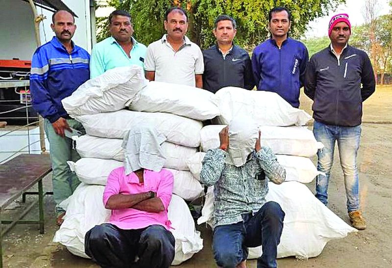 Gutkha seized in Chikhali, Sindhkhedraj | चिखली, सिंदखेडराजात २.४० लाखांचा गुटखा जप्त