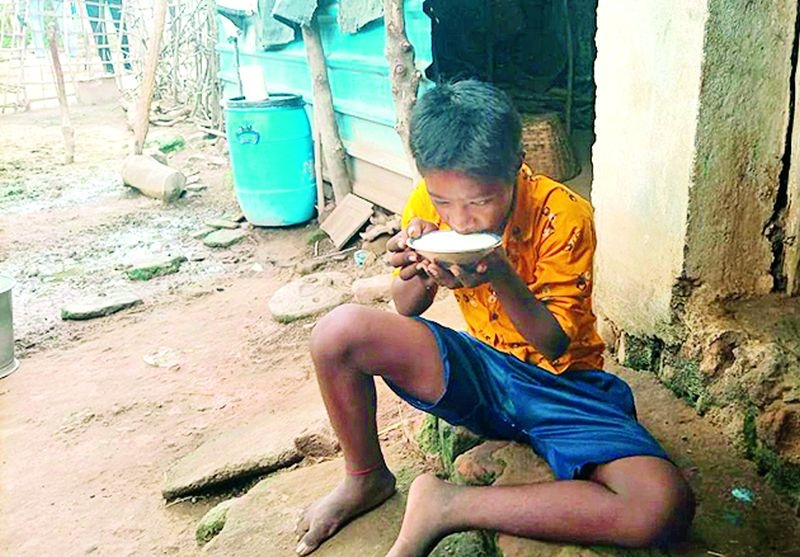 Seventeen year old 'Bhujang' has been living on milk only since birth | जन्मापासून फक्त दुधावरच जगतोय सतरा वर्षांचा ‘भुजंग’