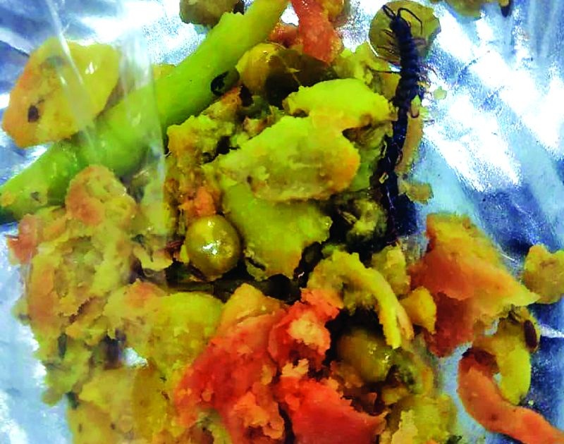 Worm found Samosa of Gujarati Sweet Mart in Akola | अकोला: गुजराती स्वीट मार्टच्या समोशामध्ये आढळली गोम